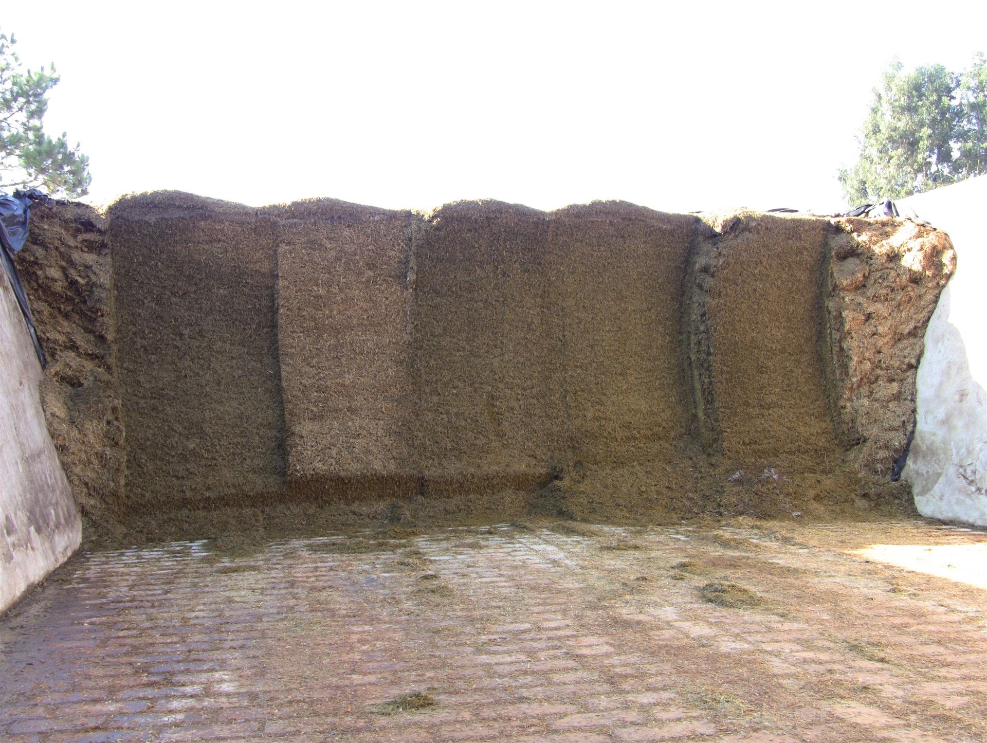 Produção e utilização de silagens