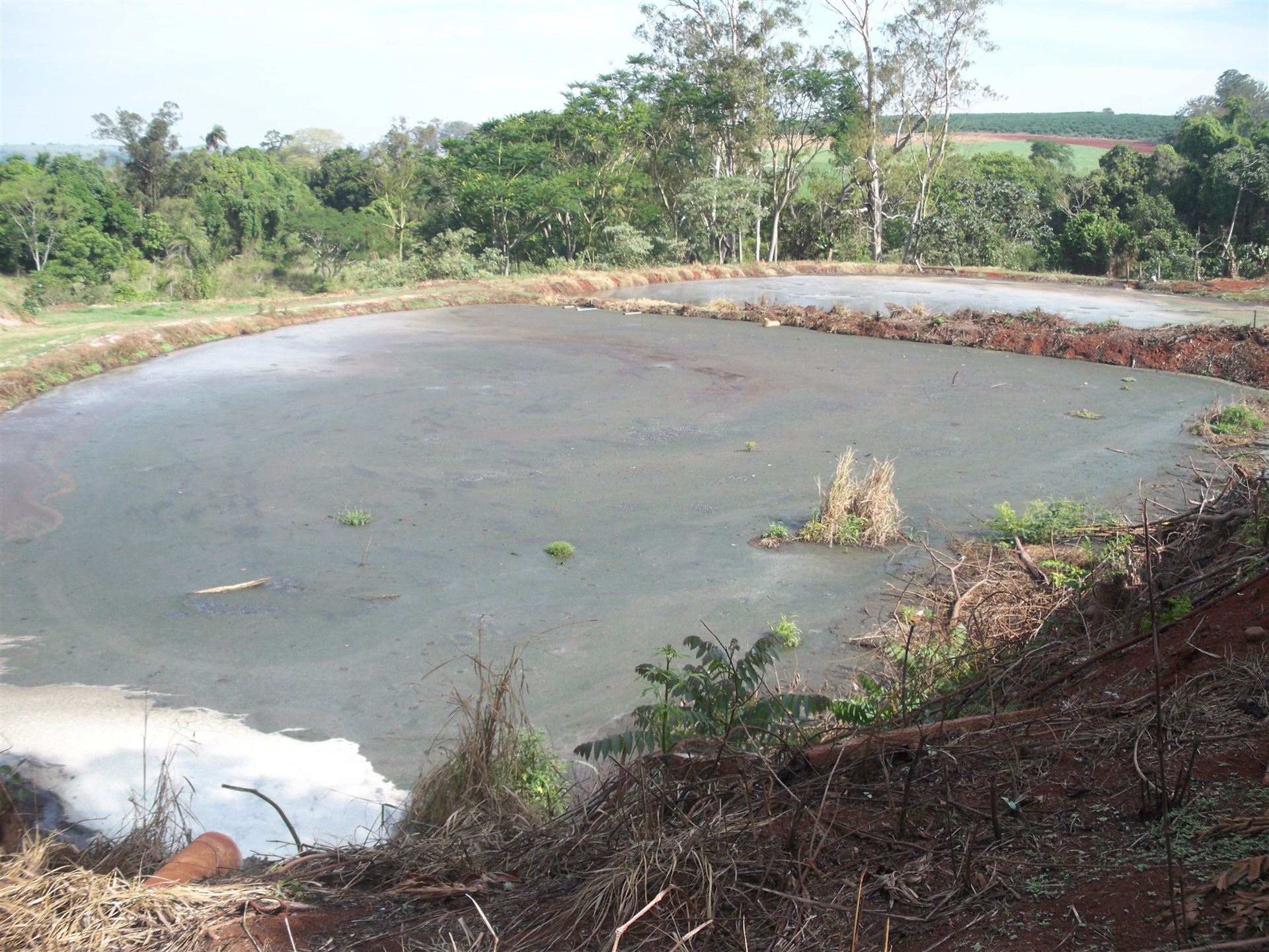 Manejo de dejetos na pecuária