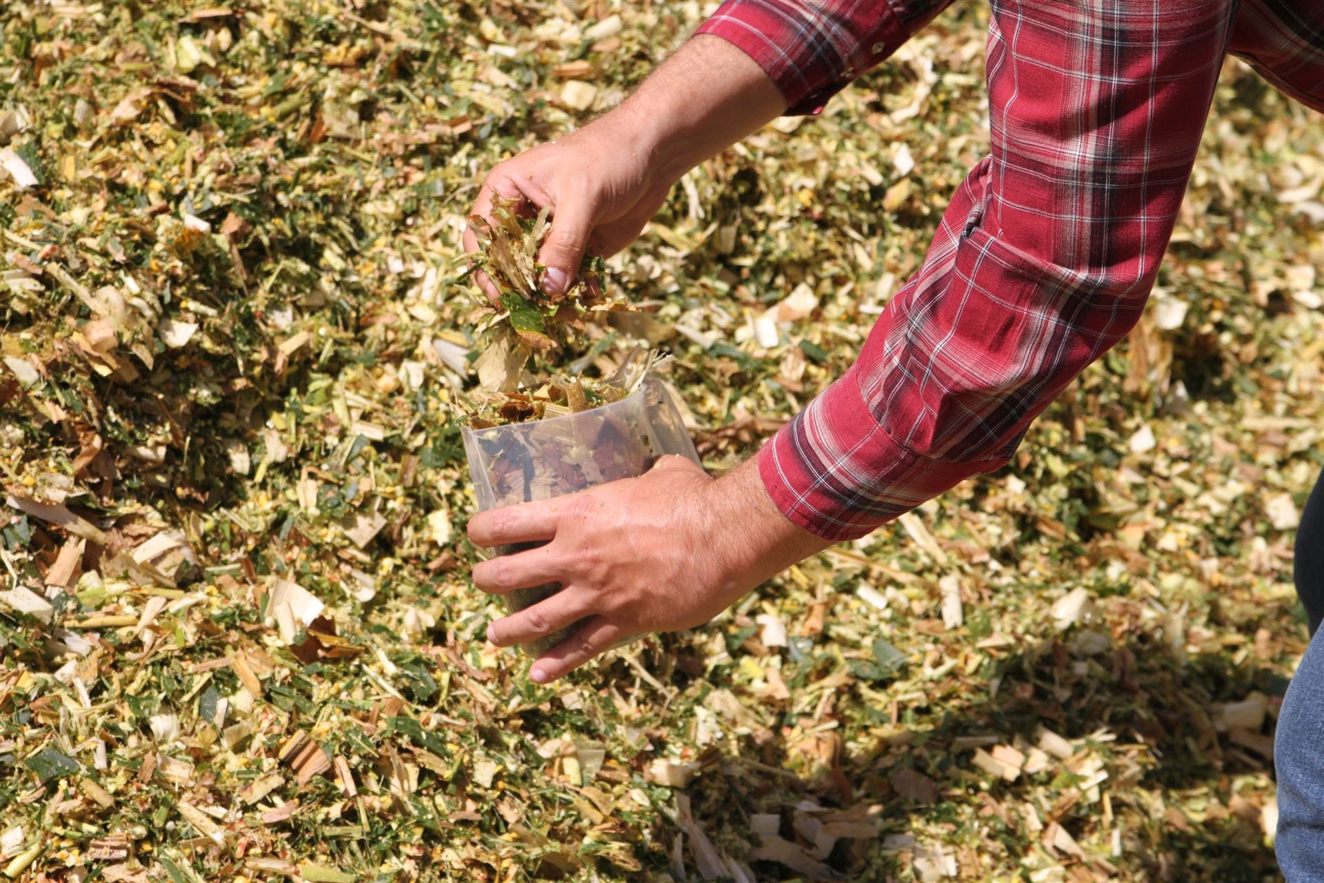 Análise de alimentos e interpretação de laudos para nutrição animal