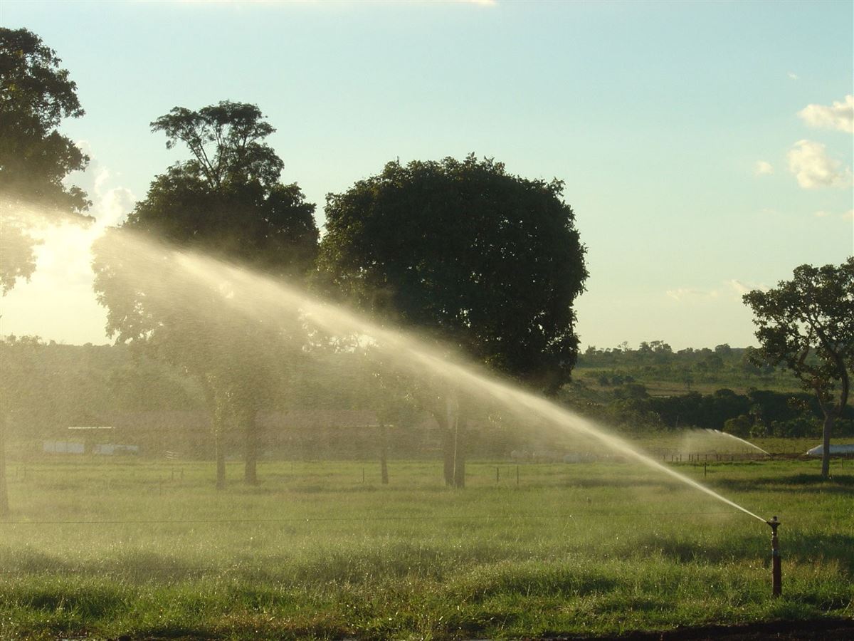 Irrigação de pastagem dá retorno econômico?