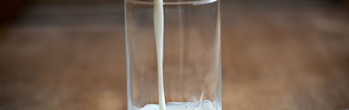 Características do fluxo de leite podem ser usados como biomarcadores de claudicação