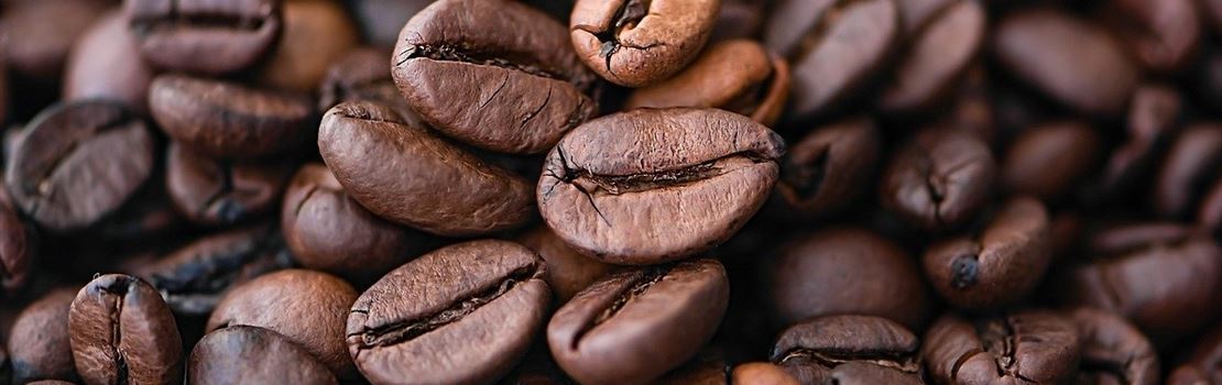 Sustentabilidade do café: o grande beneficiário é o produtor!