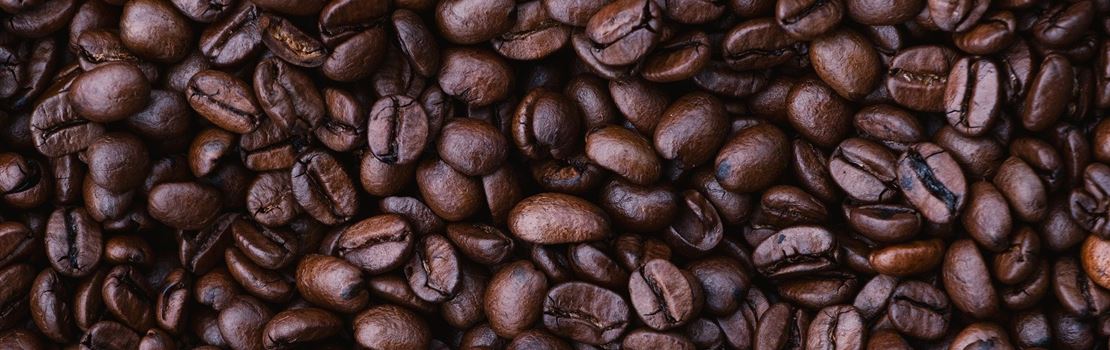 Cafeicultura sustentável: como fazer o uso racional da água?