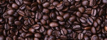 Cafeicultura sustentável: como fazer o uso racional da água?