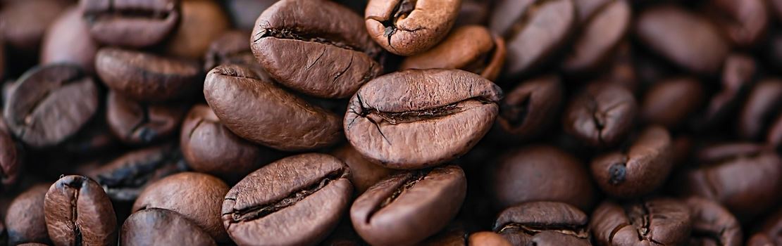Quais os fatores que afetam a qualidade do café?