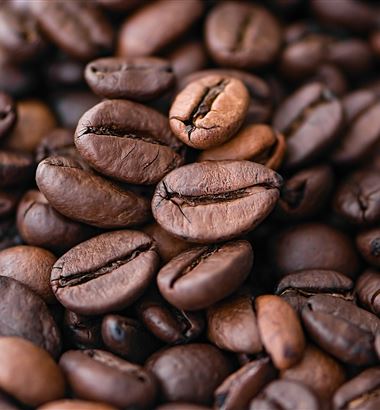 Quais os fatores que afetam a qualidade do café?