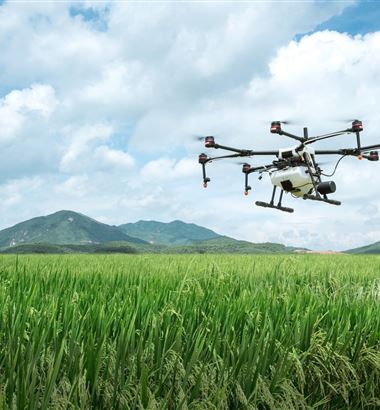 Como o drone pode auxiliar no monitoramento do gado?