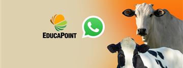 Participe do grupo do EducaPoint no WhatsApp!