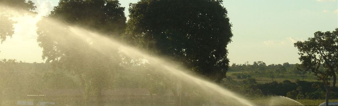 Quanto custa ter um sistema de irrigação de pastagens?
