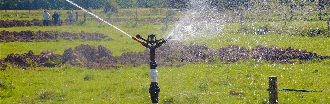 Como projetar um sistema de irrigação?