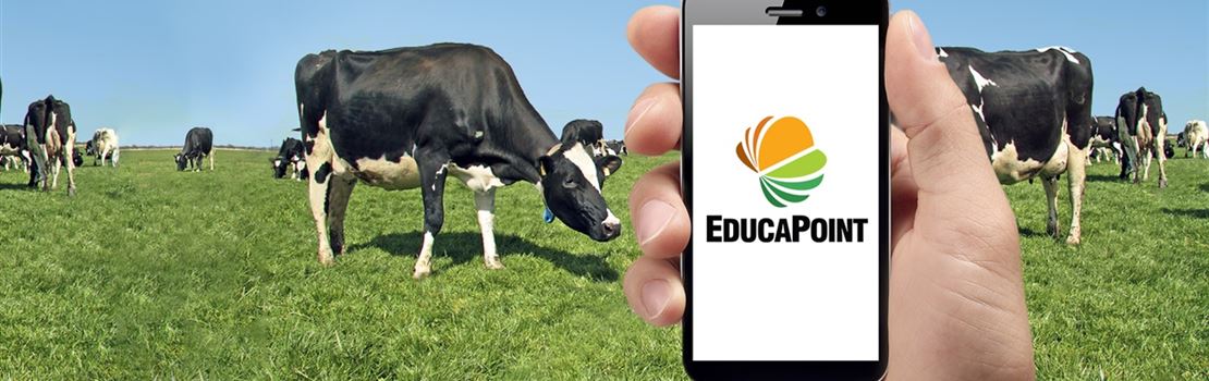 Estudar no campo, sem internet, agora é possível: EducaPoint lança novo app