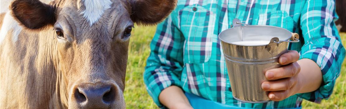6 razões para participar de cursos sobre qualidade do leite o quanto antes