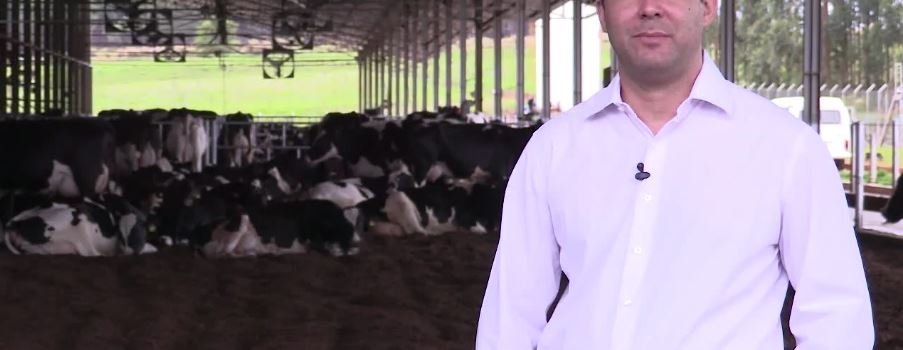 Adriano Seddon: alta produtividade com o Compost Barn
