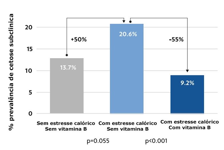 Figura 2. Efeito da suplementação dietética de uma mistura específica de vitaminas B protegidas antes e depois do parto durante o estresse calórico na prevalência de cetose subclínica (Jefo Technical Research Report no 31, 2018)