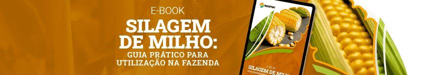Silagem de milho