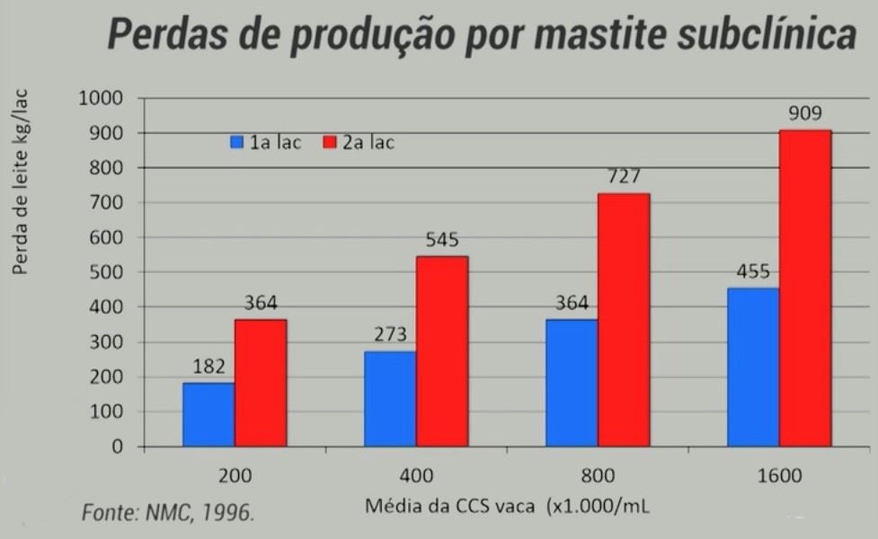 Perdas de produção por mastite subclínica Perdas de produção por mastite subclínica