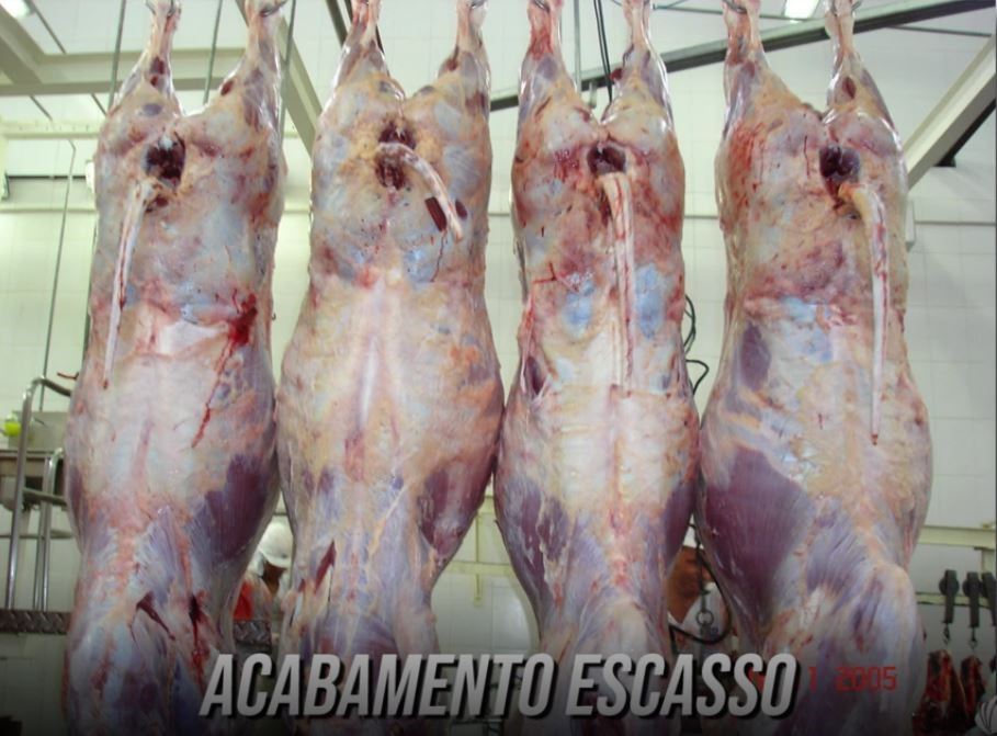 Carcaça com acabamento ruim Carcaça com acabamento ruim