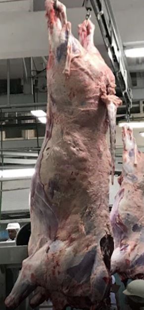 Carcaça com acabamento mediano Carcaça com acabamento mediano