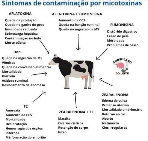 Irregular Periodo: Como Identificar & Quando é Sério