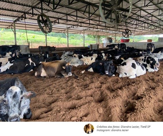 compost barn