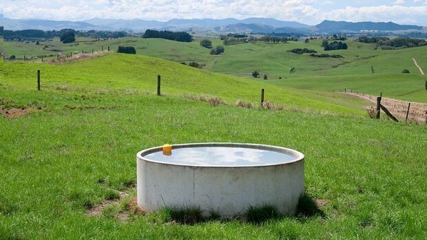 Bebedouro de fácil acesso para os bovinos.