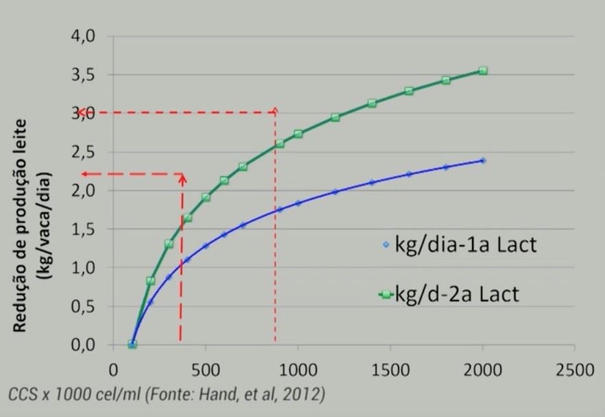 Redução na produção de leite por causa da mastite