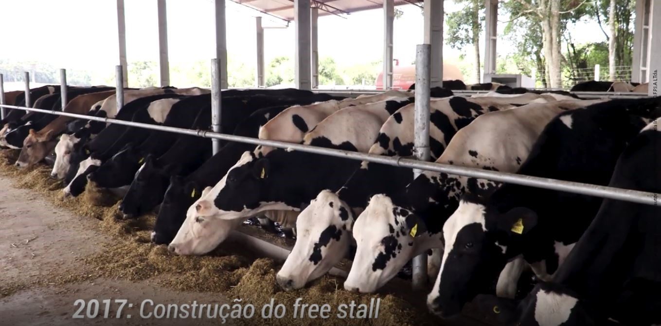 Free stall do Sítio São Sebastião